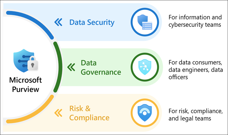 Microsoft Purview Data Governance