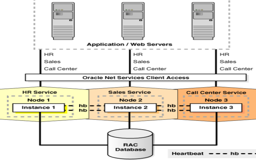 Oracle Database Cluster