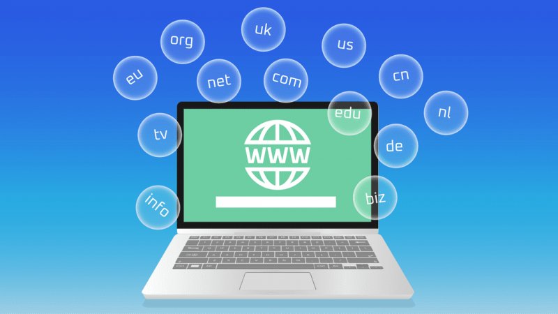  Domain Registration Company 