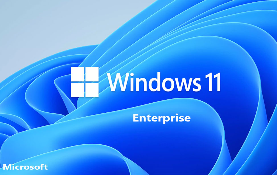 Windows 11 Enterprise License