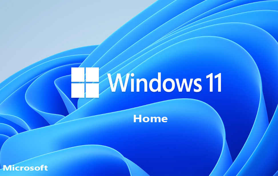 Windows 11 Home License